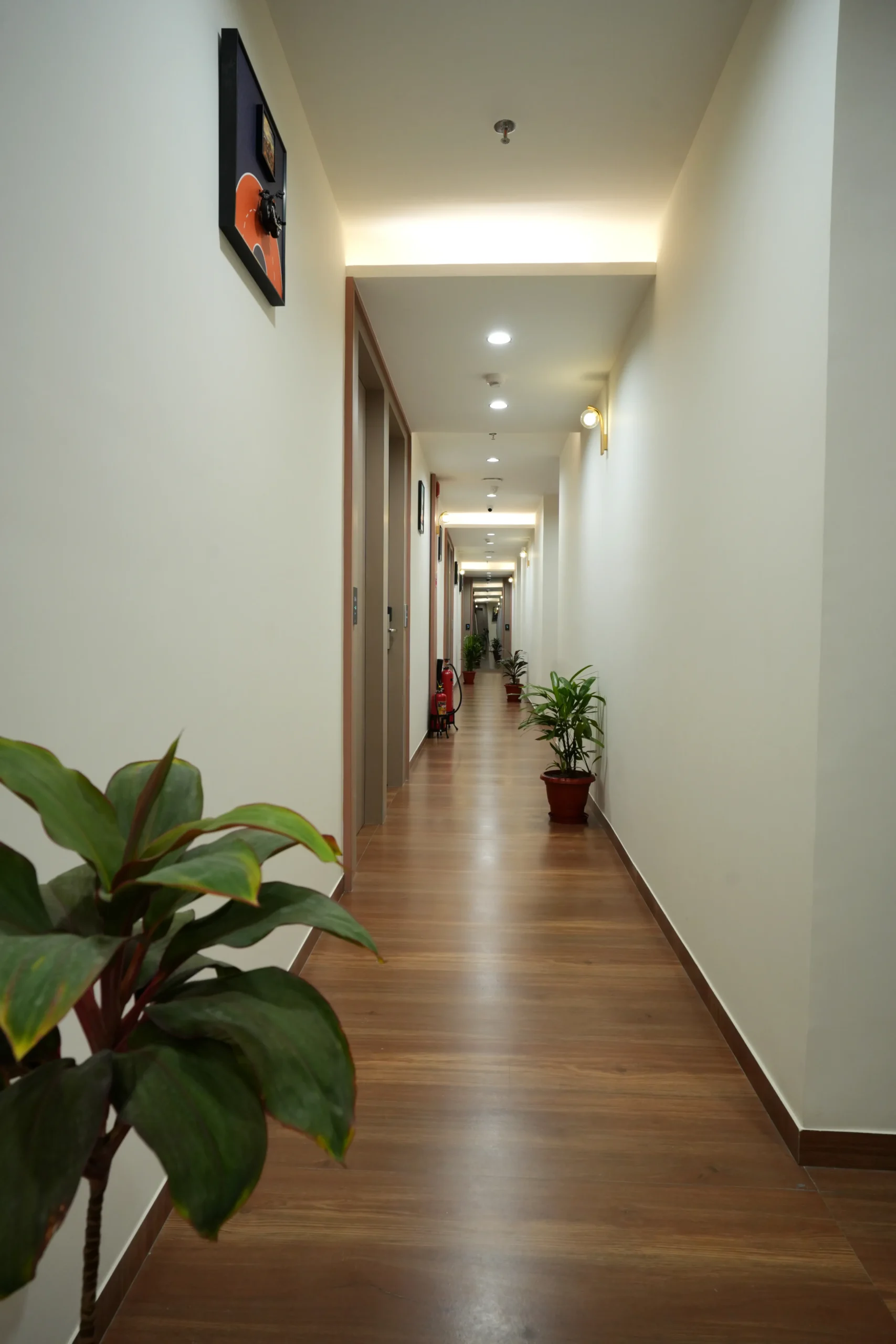 Deluxe Rooms
